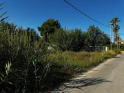 Parcela en venta en Murcia, Los Garres