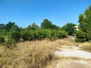 Parcela en venta en Murcia Murcia