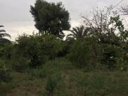 Parcela en venta en Murcia, Senda de Granada