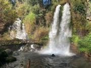 Parcela en Venta en NELTUME