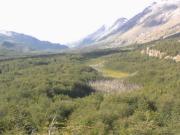 Parcela en venta en O´HIGGINS