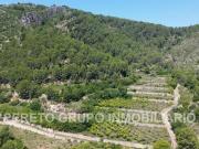 Parcela en venta en Oliva