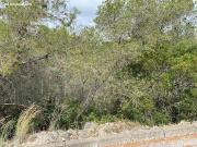 PARCELA EN VENTA EN OLIVELLA
