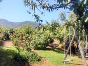 Parcela en venta en OLMUÉ