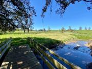 Parcela en venta en OSORNO