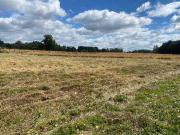 Parcela en venta en OSORNO