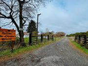 Parcela en venta en OSORNO