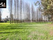 Parcela en Venta en Paine