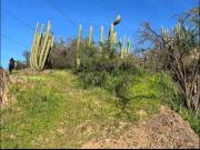 Parcela en venta en PAINE