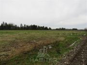 Parcela en Venta en Panguilemito Parcela 19, Hijuela N° 8