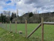 Parcela en venta en PANGUIPULLI