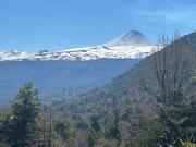 Parcela en venta en PANGUIPULLI