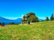 Parcela en Venta en Paraíso frente al lago, vistas y...