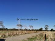 Parcela en Venta en PARCELA EN LA RESERVA DE FRUTILLAR/...