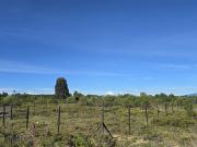 Parcela en Venta en Parcelación Bosque Vida Sector la laja