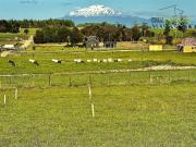 Parcela en Venta en Parcelación La Cruzada