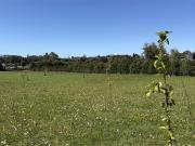 Parcela en Venta en PARCELACION OTTENDORF