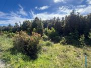 Parcela en Venta en Parcelación Santa Ana