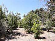 Parcela en Venta en Parcelas con 2 Casas 184 m2 +...