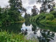 Parcela en Venta en Parcelas en Las Lomas con acceso al...