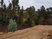 Parcela en Venta en Paredones