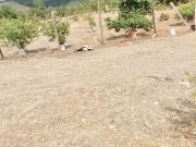 Parcela en Venta en pasado la Cuesta