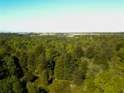 Parcela en Venta en Pasaje los Tepues #98, Lote 1 Club...