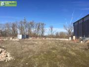 Parcela en Venta en Peñaranda de Duero, Burgos