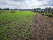 Parcela en Venta en Pilpilco, Padre las Casas, Temuco La...