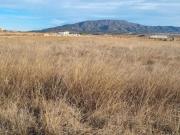Parcela en venta en Pinoso, A 2 km de la ciudad