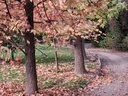 Parcela en venta en PIRQUE