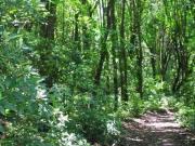 Parcela en Venta en Posada El Taique