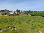 Parcela en venta en PUCHUNCAVÍ