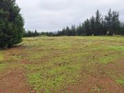 Parcela en venta en PUCHUNCAVÍ