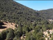 Parcela en venta en PUCÓN