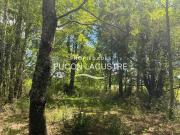 Parcela en venta en PUCÓN