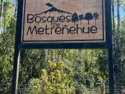 Parcela en venta en PUCÓN