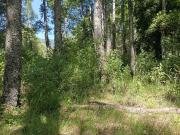 Parcela en venta en PUCÓN