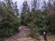 Parcela en Venta en Pucon con Curarrehue