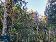 Parcela en venta en PUERTO MONTT