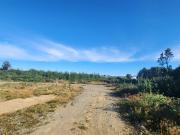 Parcela En Venta En Puerto Varas