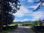 Parcela en venta en PUERTO VARAS