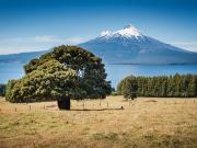 Parcela en venta en PUERTO VARAS
