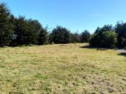 Parcela en venta en PUERTO VARAS