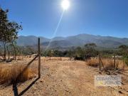 Parcela en Venta en puro nativo