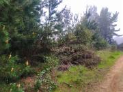 Parcela en Venta en Quebrada Verde