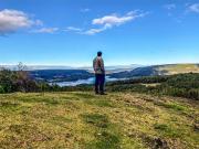 Parcela en venta, en Queilén, Chiloé