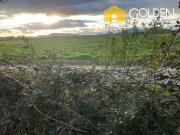 Parcela en Venta en Requinoa / Rancagua / Viñedo Los Boldos