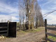 Parcela en Venta en Rincón de Morales, Teno