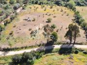 Parcela en Venta en Rinconada de Botalcura